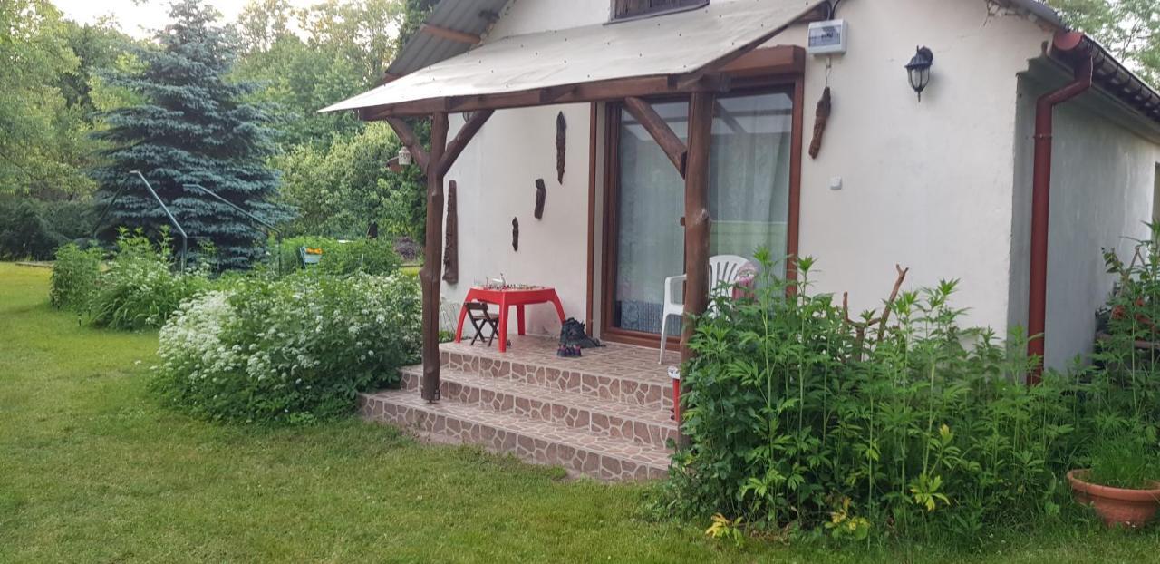 Villa Letnisko Wiolinkowo Sarnaki Esterno foto